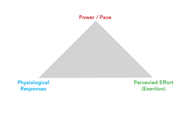 holy trinity power physiology perception Seiler