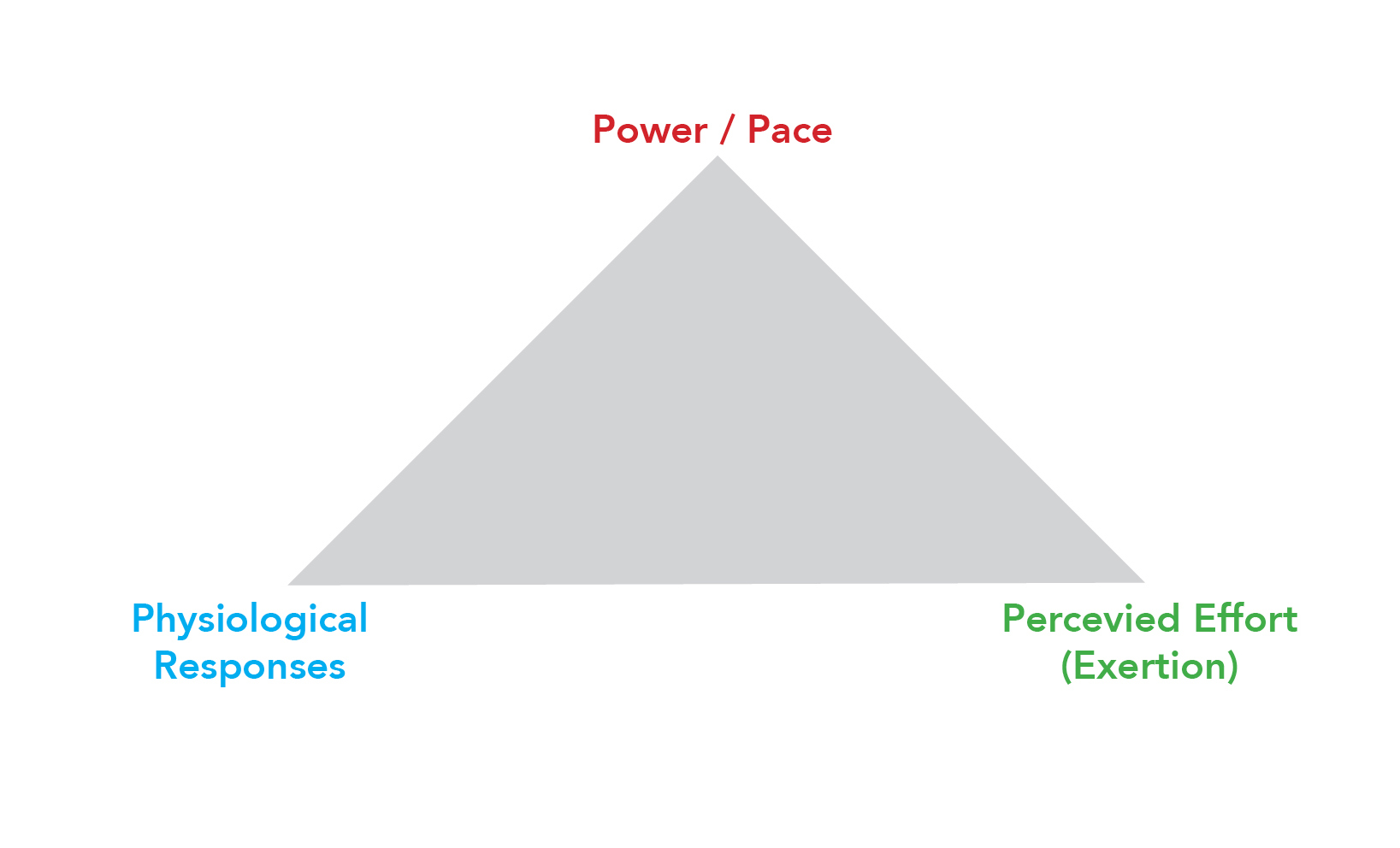 holy trinity power physiology perception Seiler