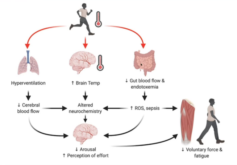 winter guide to indoor cycling