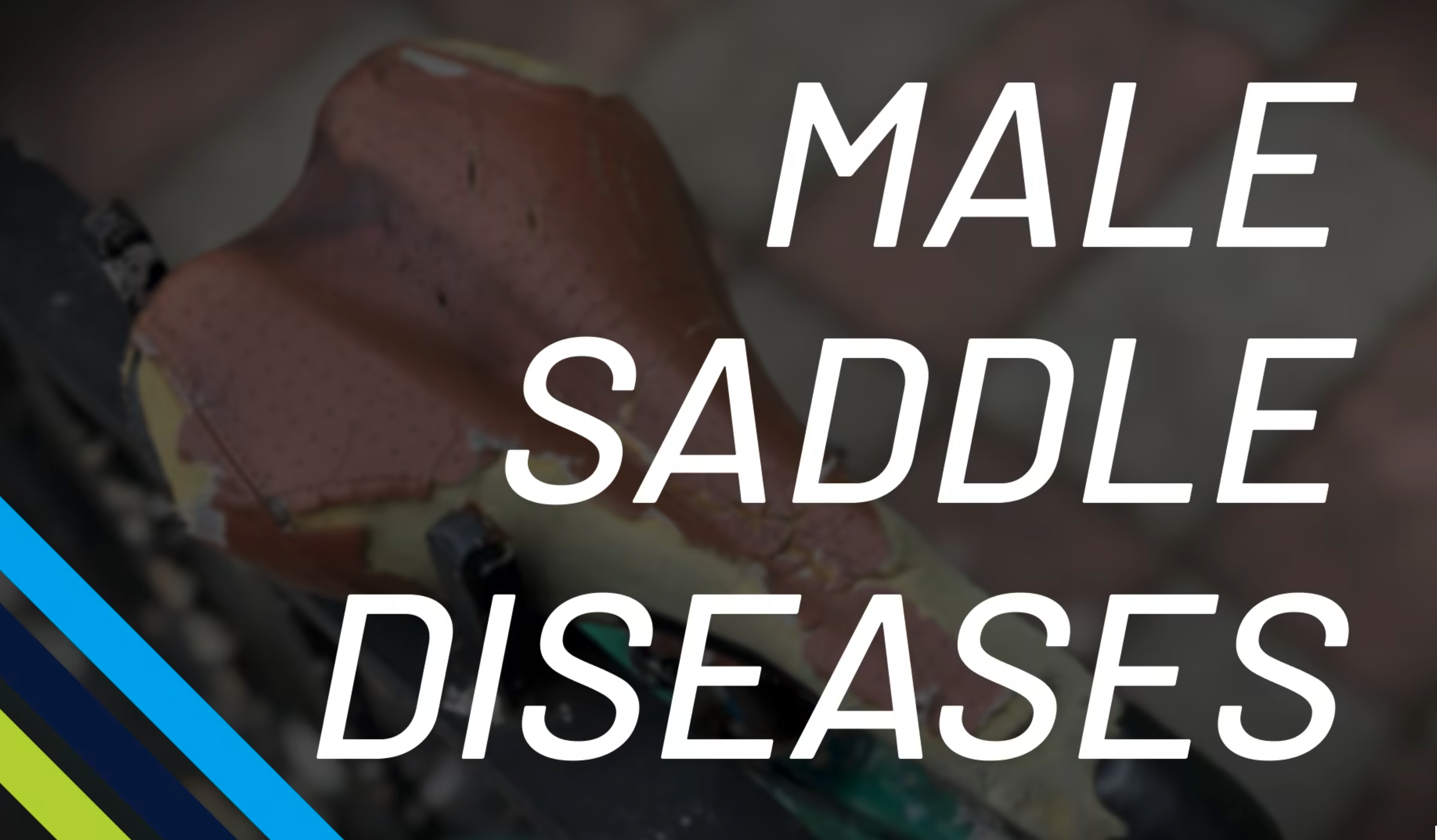Male Saddle Diseases Andy Pruitt