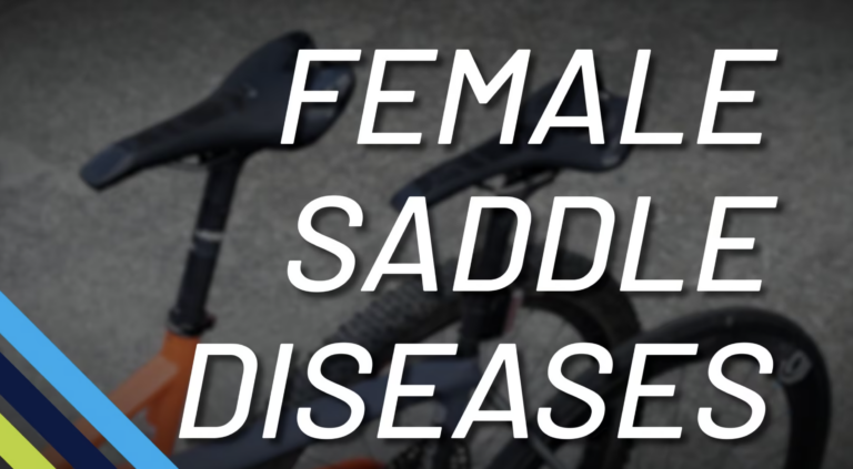 Female Saddle Diseases Andy Pruitt