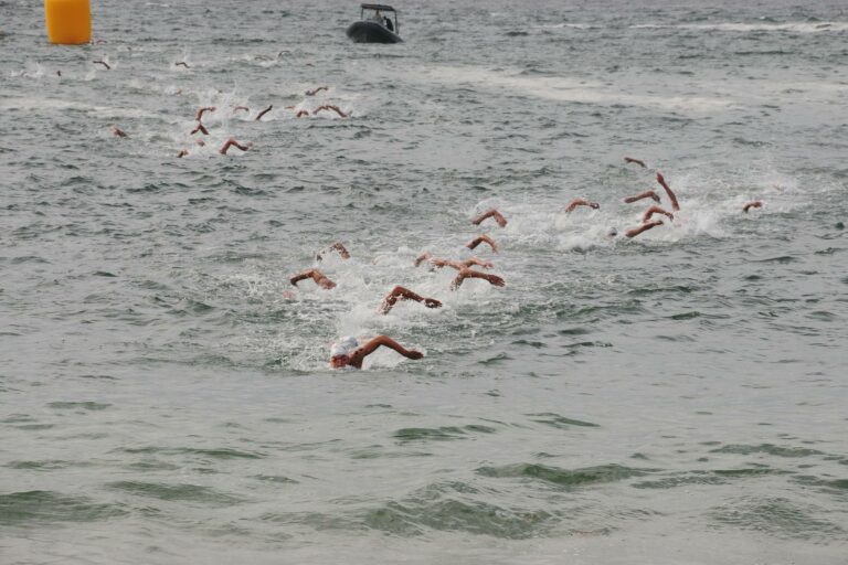 a sea of swimmers in open water