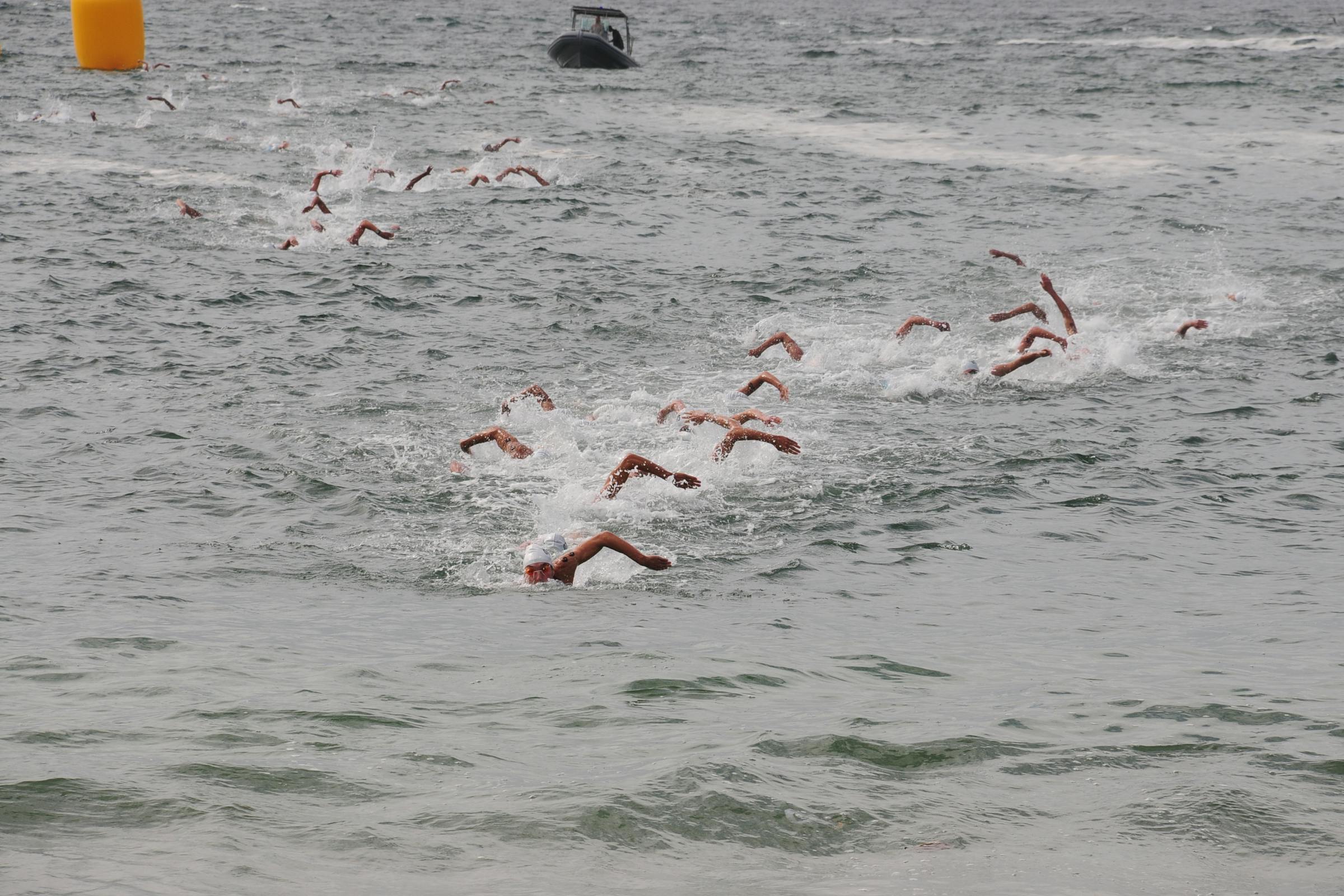 a sea of swimmers in open water