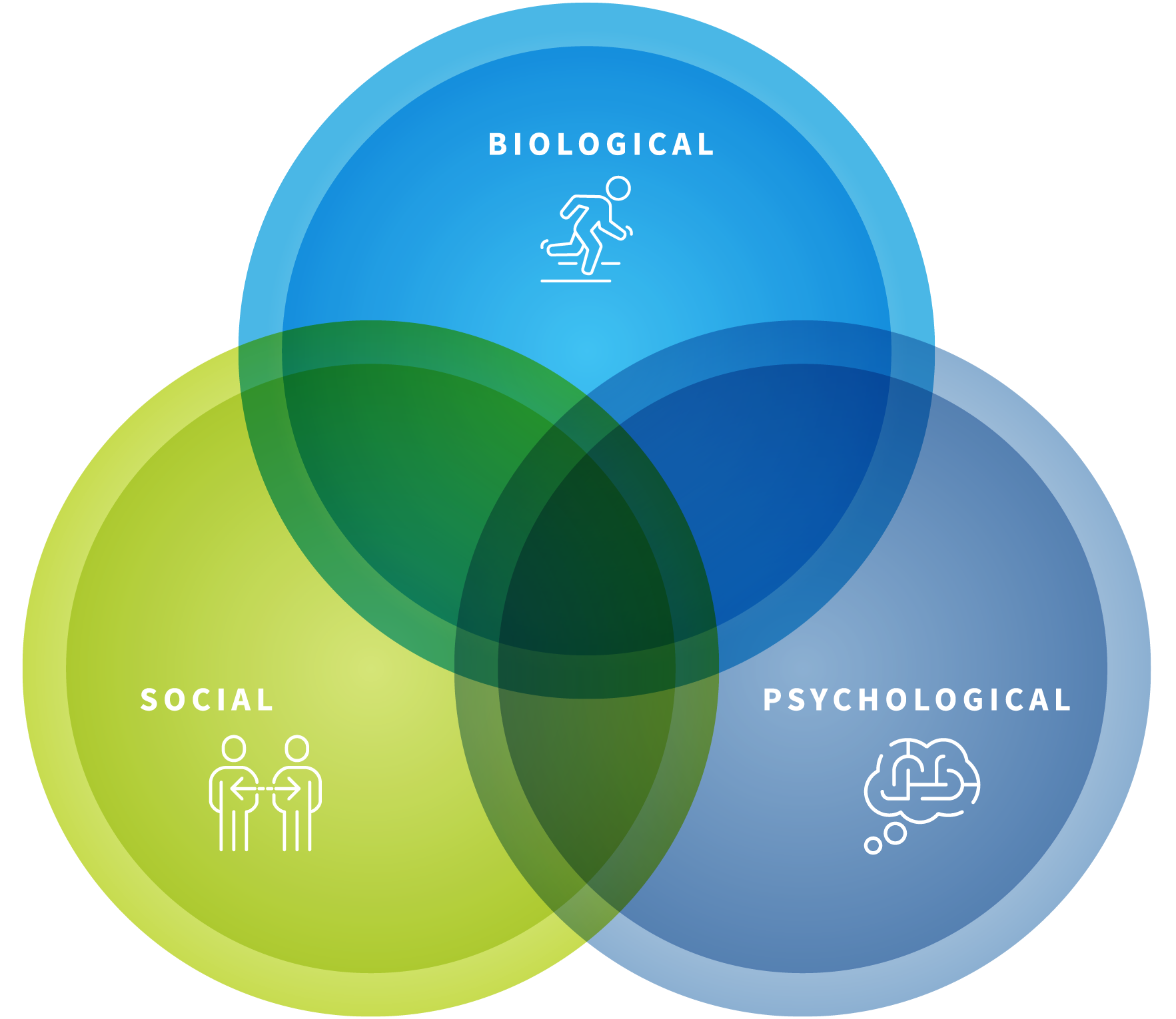 The biopsychosocial approach: a venn diagram shows biological, psychological, and social aspects of human health and performance