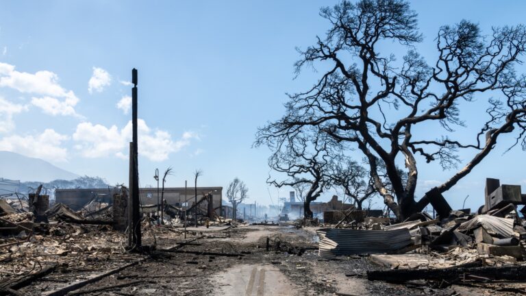 View down a debris-filled street with a burnt tree and collapsed building.