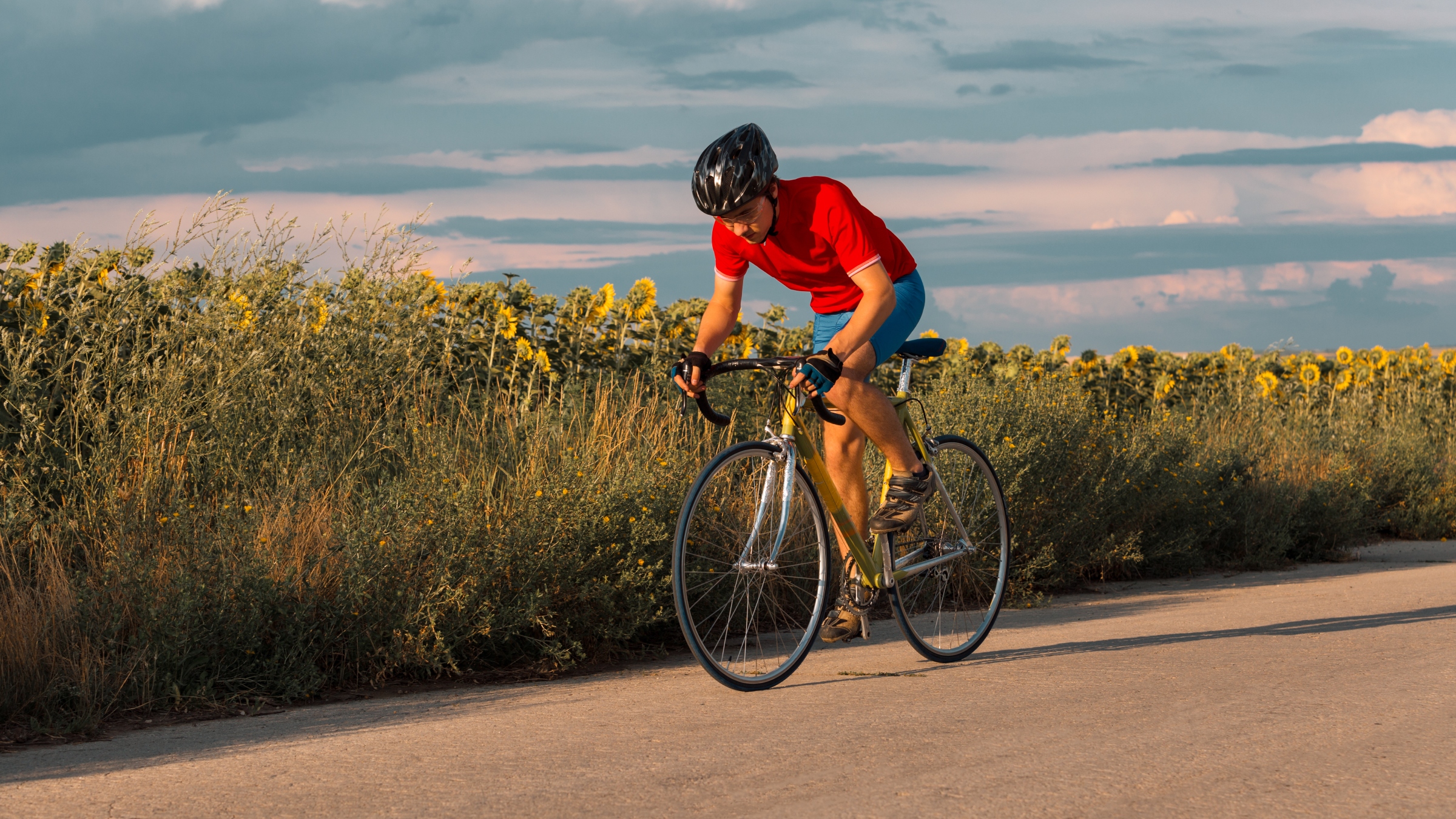 Man sprinting on his bike past a field of sunflowers