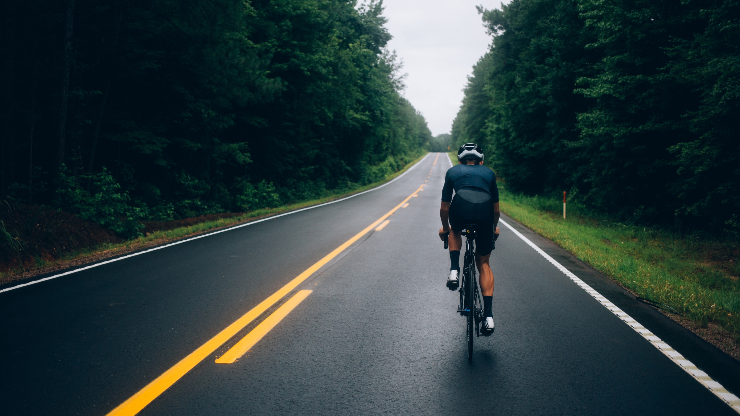Rear shot of a cyclist riding alone along a tree-lined road on a rainy day