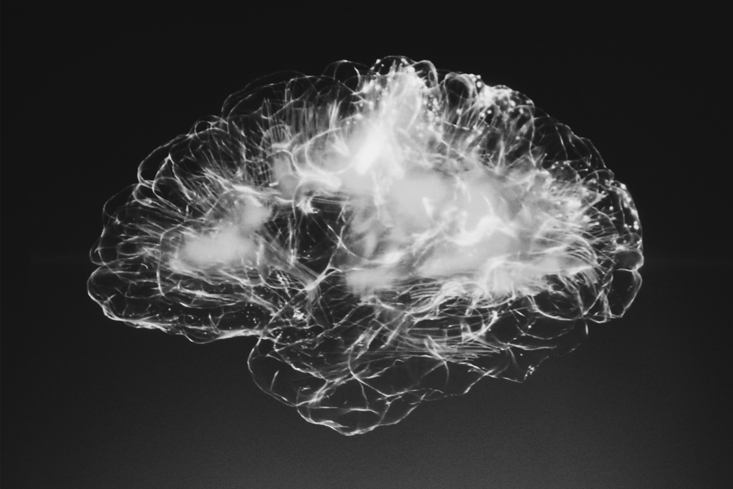 USA Cycling Course: Concussions in Cycling by Fast Talk Laboratories