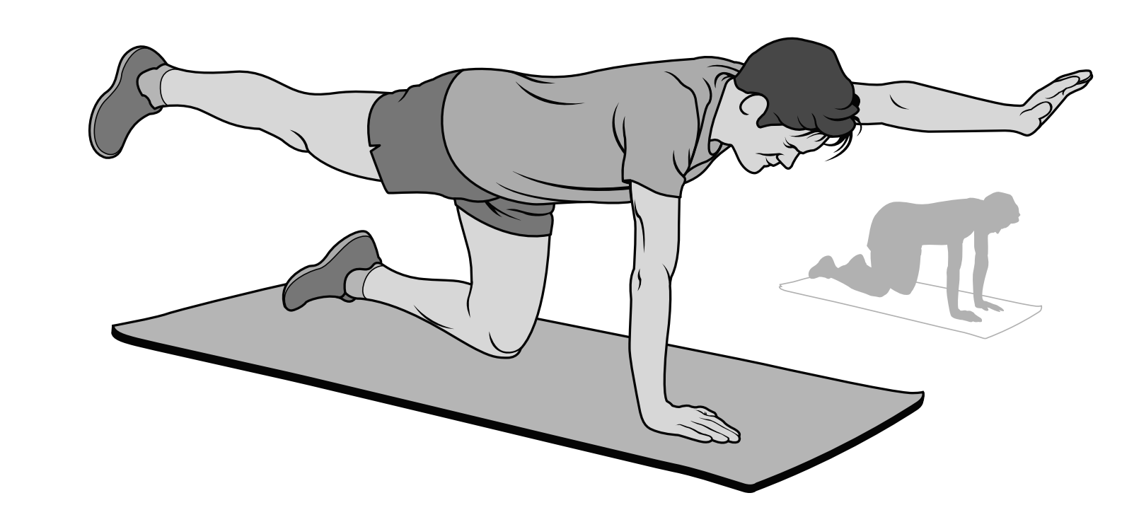 Bird dog core exercise illustration